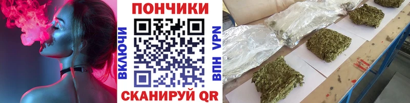 Где можно купить наркотики Новоаннинский СК mega как войти ГАШ Кокаин Мефедрон