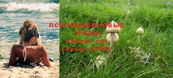 СК Алексеевка